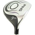Ping Rhapsody