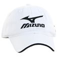 Mizuno Tour 2010