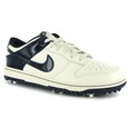 Nike Dunk NG Sail/Blackened Blue