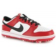 Nike Dunk NG