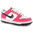 Nike Dunk NG