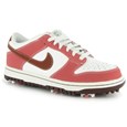 Nike Dunk NG