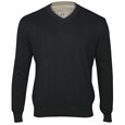Glen Echo SW-1100