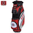 Team Effort Collegiate Bucket Cooler
