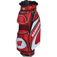 Team Effort Collegiate Bucket Cooler