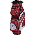 Team Effort Collegiate Bucket Cooler