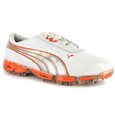 Puma AMP Cell Fusion