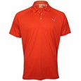 Puma Golf Raglan Tech