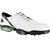 White Smooth/Silver