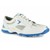 White/Blue/White