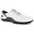 White Smooth/Silver