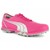 Cabernet/Puma Silver