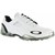 White/White