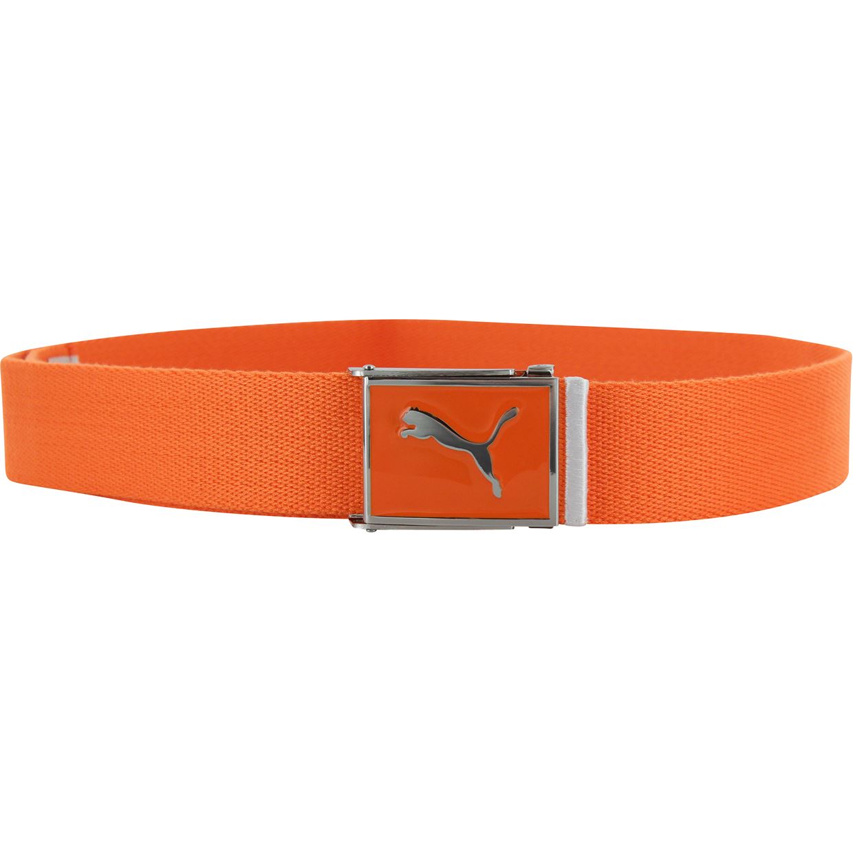 puma web belt