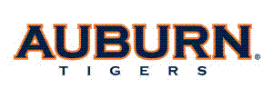 Auburn Tigers Golf Equipment