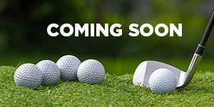 Wilson Putters 