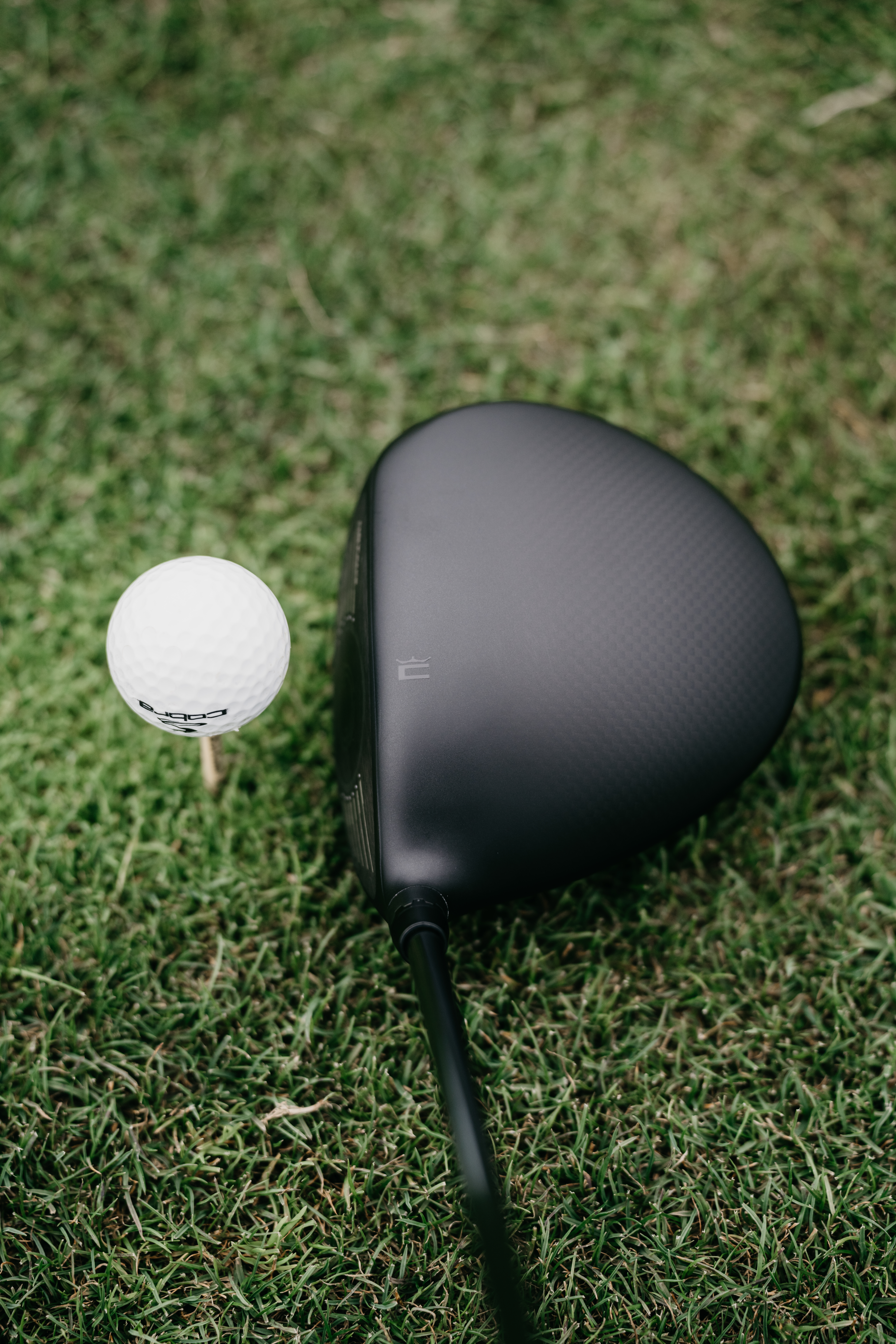 Cobra DARKSPEED Family