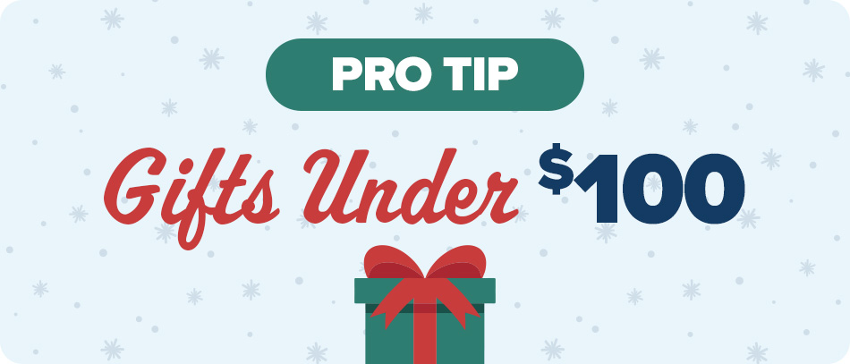 Pro Tip: Gifts Under $100