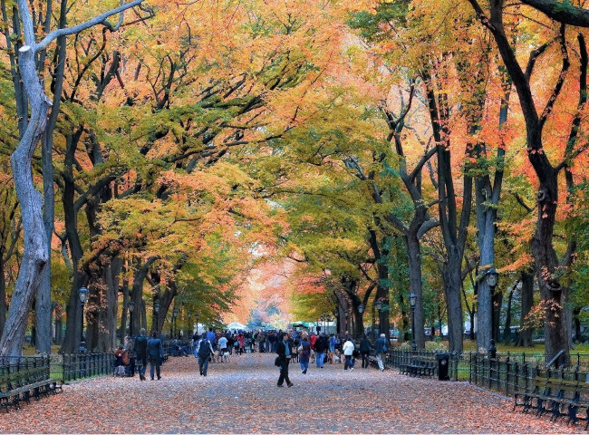 Oakley FrogSkins Before