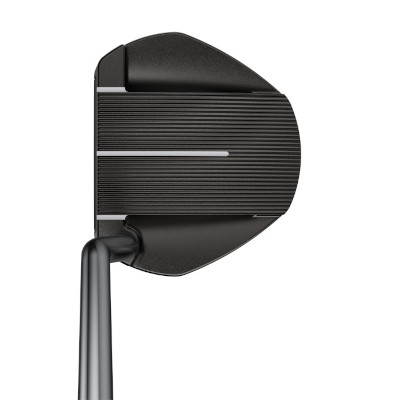 PING 2021 Fetch  Putter address