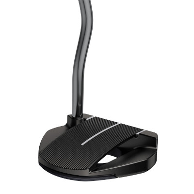 PING 2021 Fetch Putter hero
