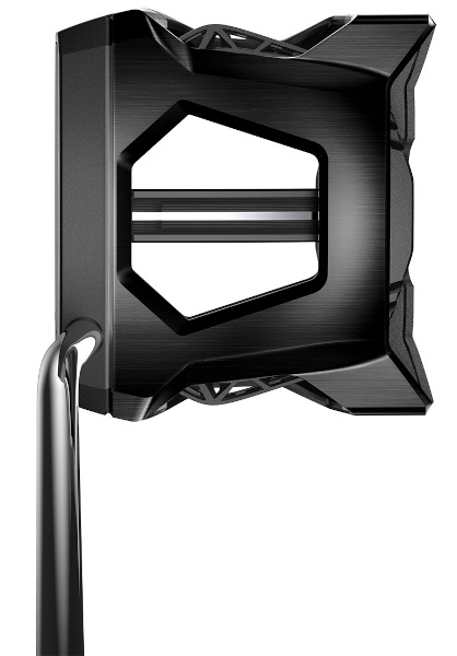 Cobra KING 2022 3D Printed Agera 30 Black Putter address