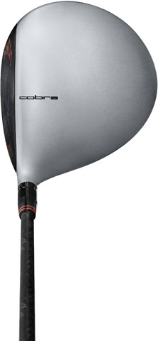 Cobra AMP Driver Address View