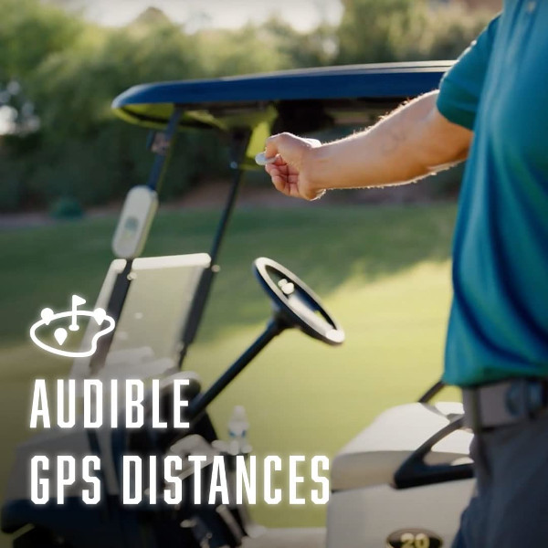 Precision Pro ACE Smart Speaker audible distance