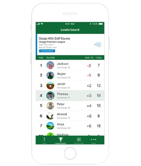 Garmin Approach G30 Big Numbers View