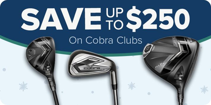 Cobra DS-ADAPT - Save up to $250