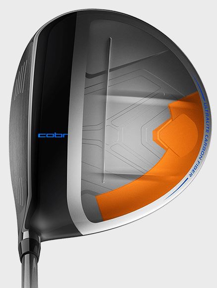 Address view highliting back weights