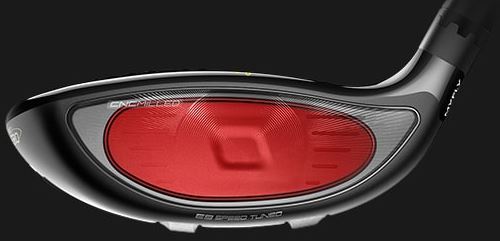 Face insert highlighted