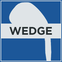 Wedge